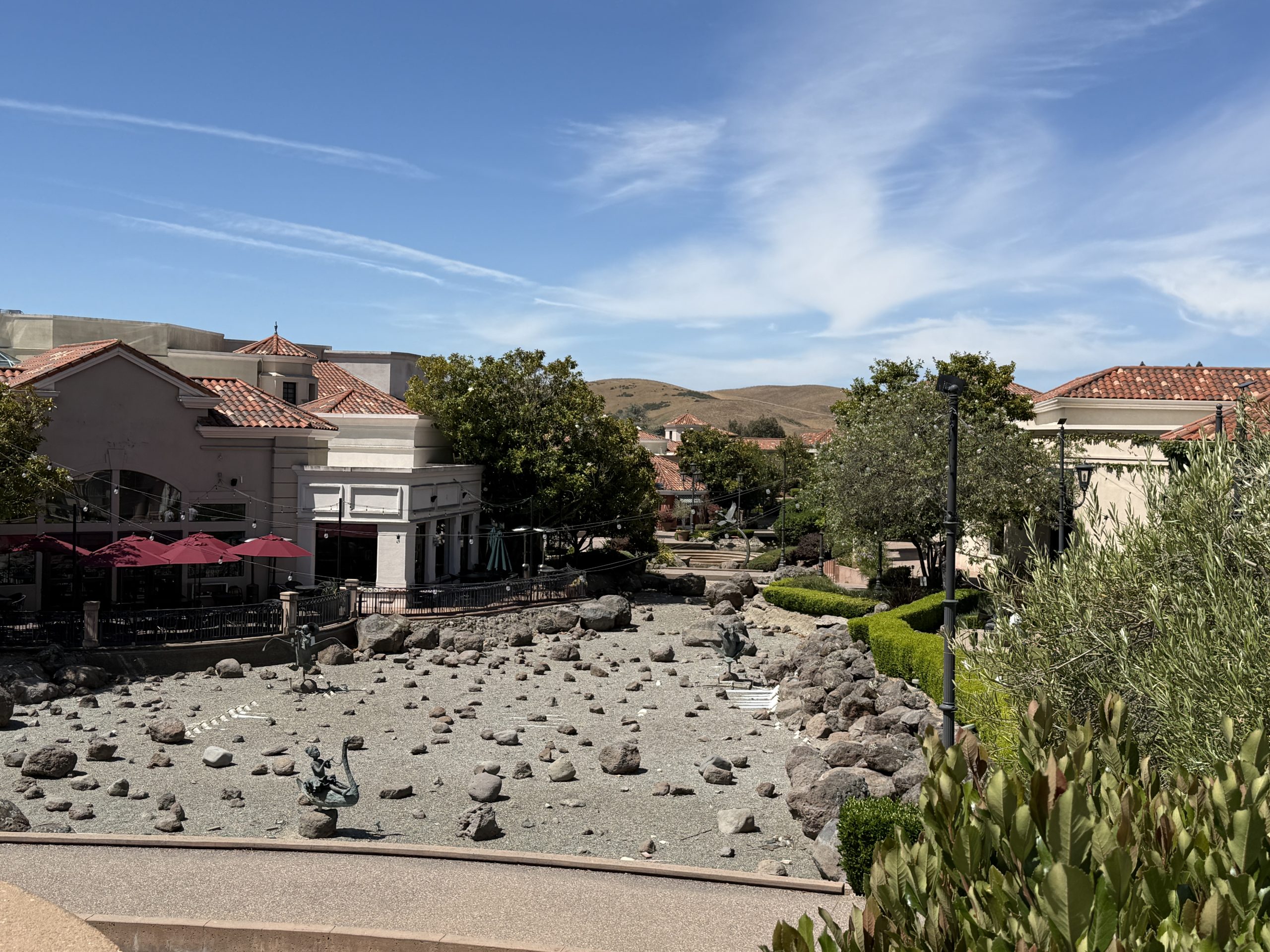 Community rallies to aid Blackhawk Plaza ducks following pond's closure